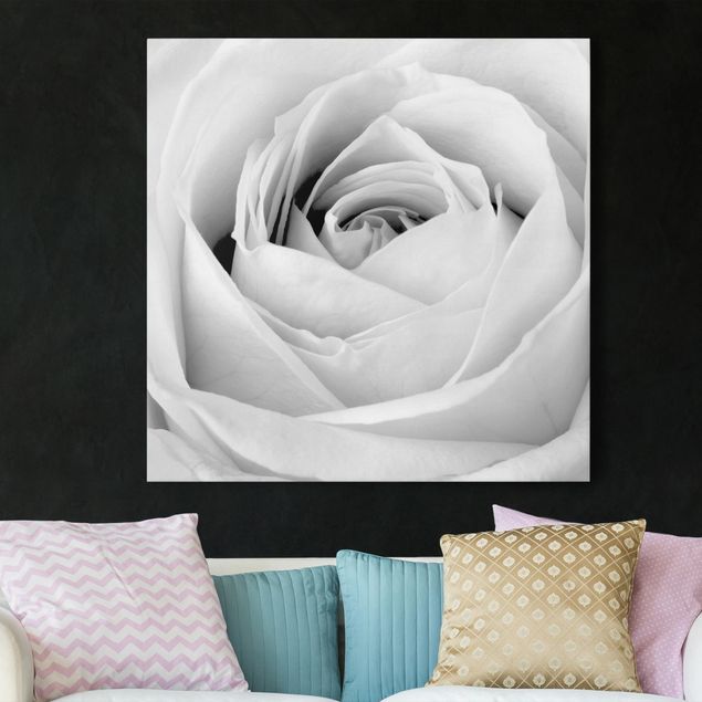 Canvas schilderijen Close Up Rose