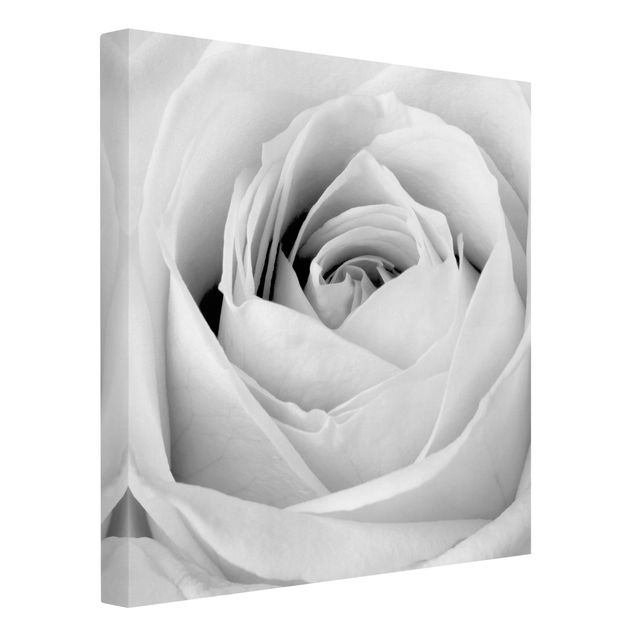 Canvas schilderijen Close Up Rose