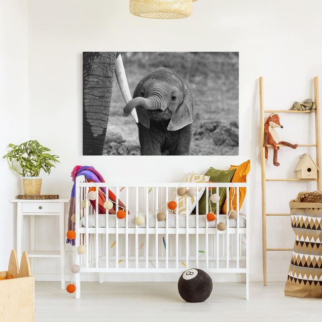 Canvas schilderijen Baby Elephant