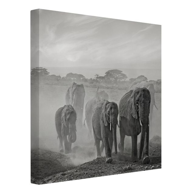 Canvas schilderijen Herd Of Elephants