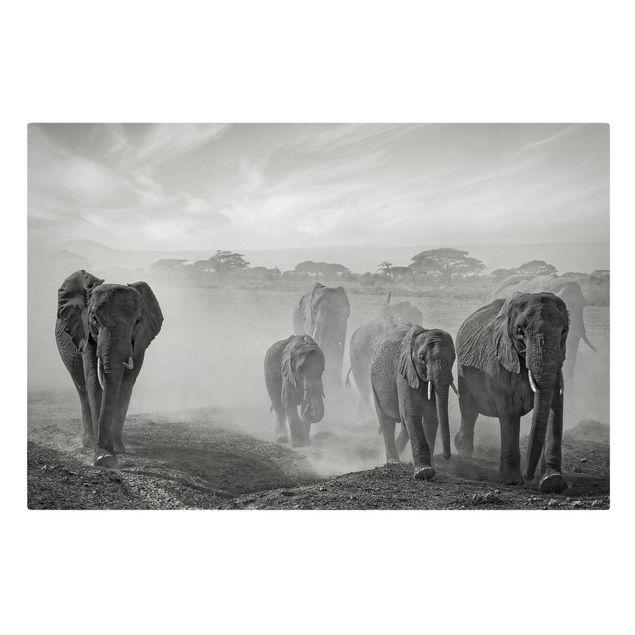 Canvas schilderijen Herd Of Elephants
