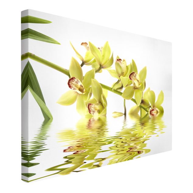 Canvas schilderijen Elegant Orchid Waters