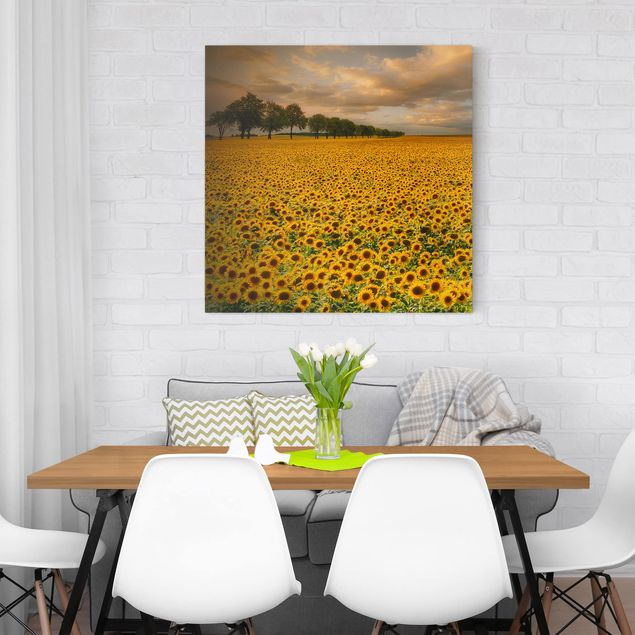 Canvas schilderijen Field With Sunflowers