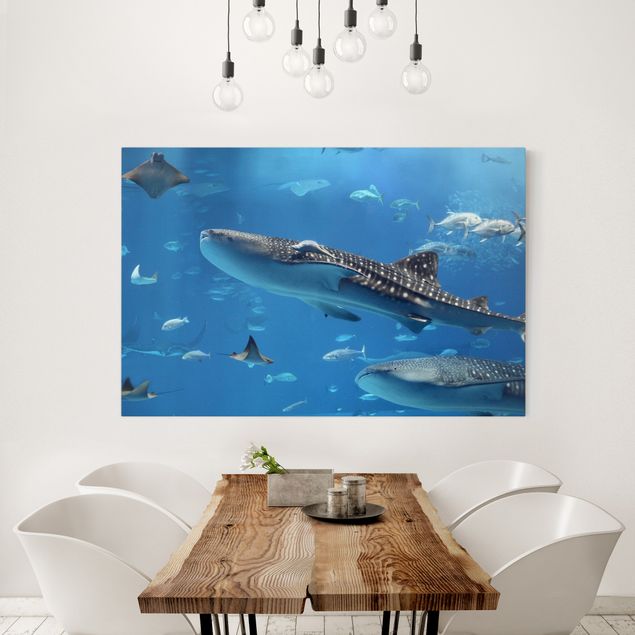 Canvas schilderijen Fish in the Sea