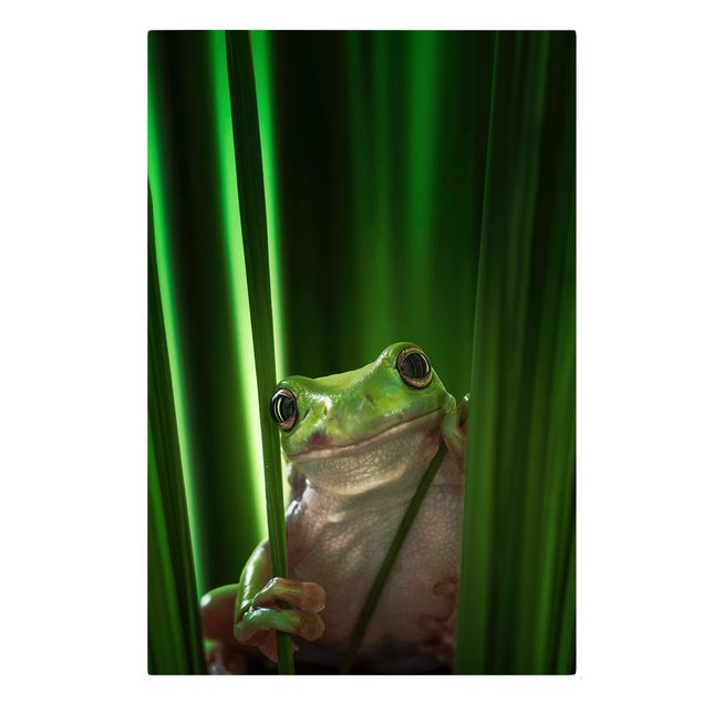Canvas schilderijen Merry Frog