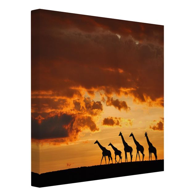 Canvas schilderijen Five Giraffes