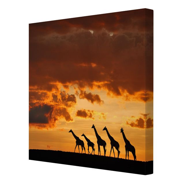 Canvas schilderijen Five Giraffes