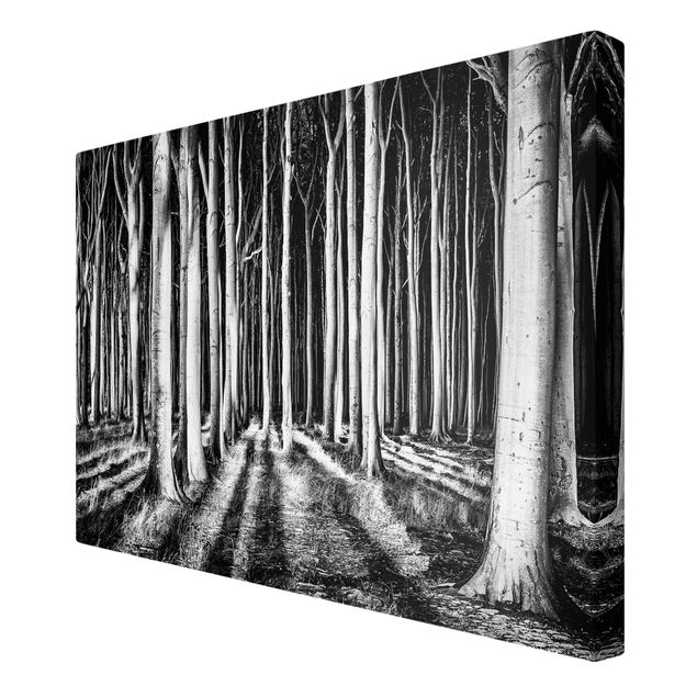 Canvas schilderijen Spooky Forest