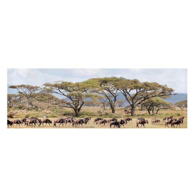 Canvas schilderijen Herd Of Wildebeest In The Savannah