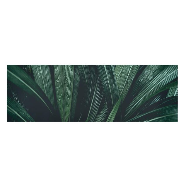 Canvas schilderijen Green Palm Leaves