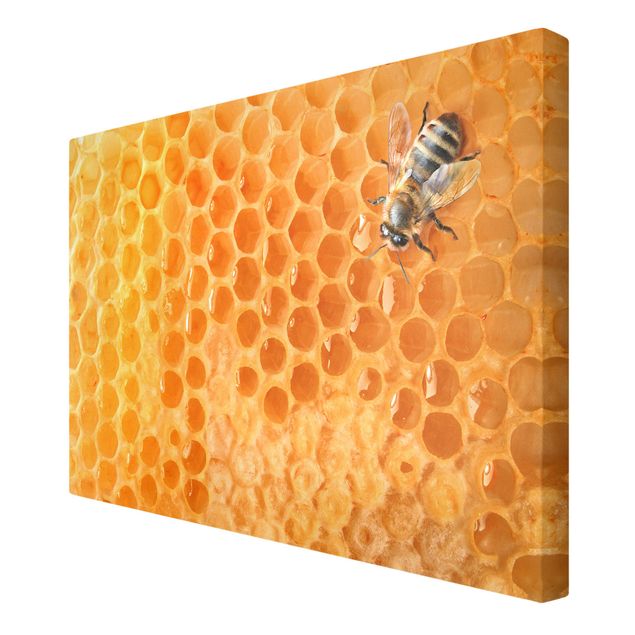 Canvas schilderijen Honey Bee