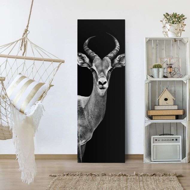 Canvas schilderijen Impala antelope black and white