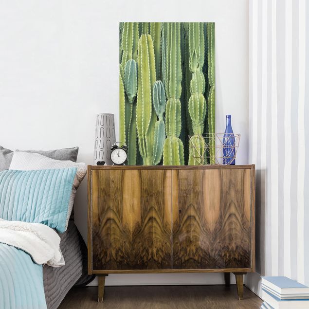 Canvas schilderijen Cactus Wall