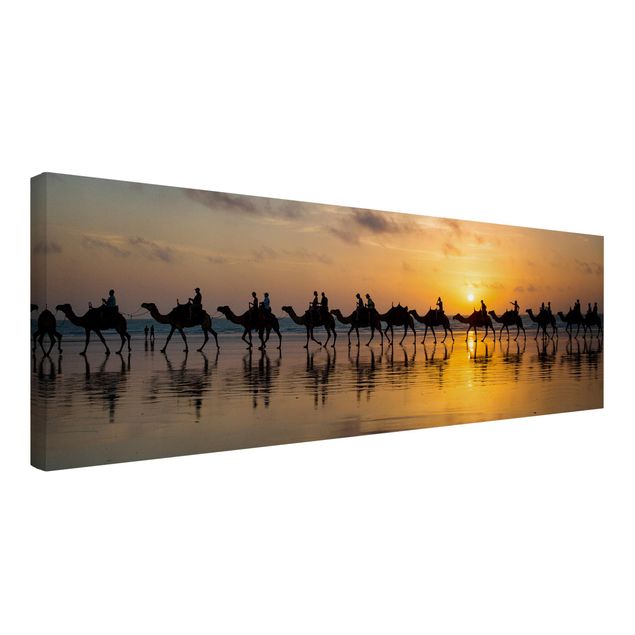 Canvas schilderijen Camels in the sunset