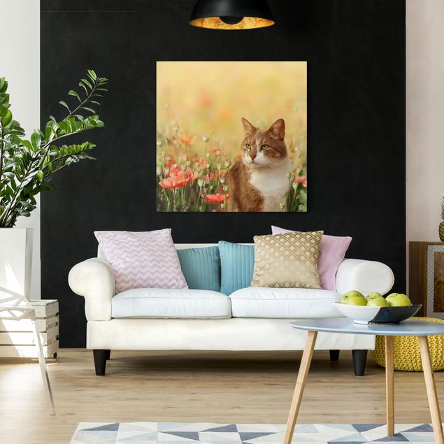Canvas schilderijen Cat In A Field Of Poppies