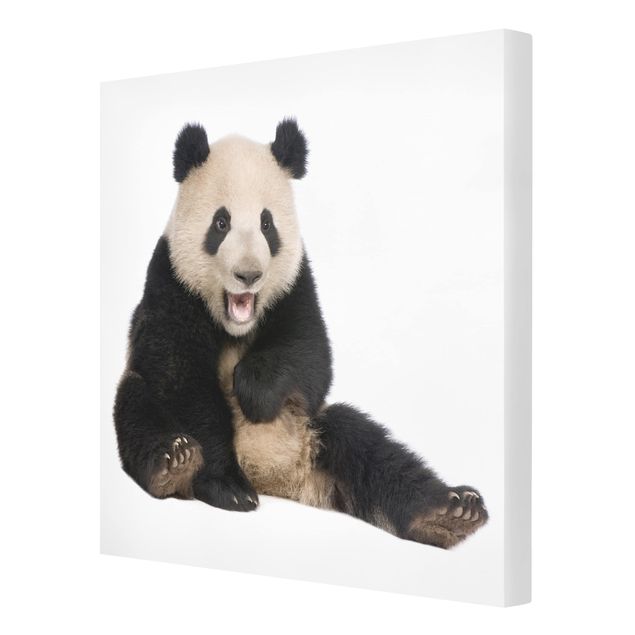 Canvas schilderijen Laughing Panda