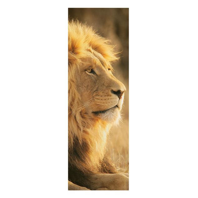 Canvas schilderijen King Lion
