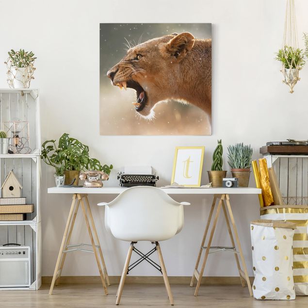 Canvas schilderijen Lioness on the hunt