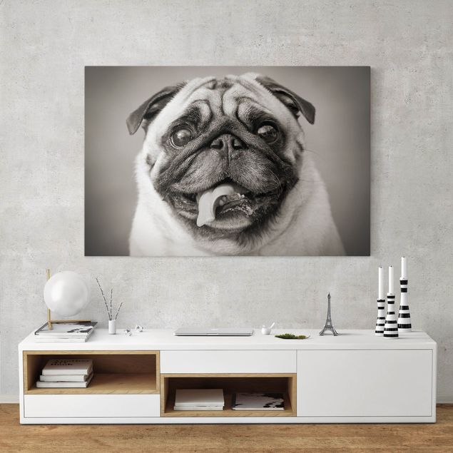 Canvas schilderijen Funny Pug