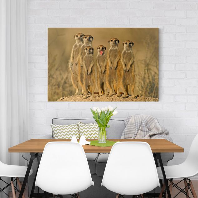 Canvas schilderijen Meerkat Family