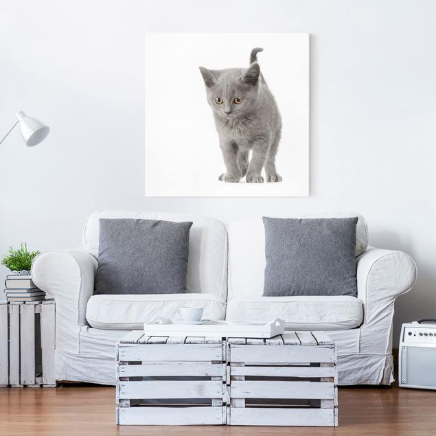 Canvas schilderijen Mini Kitty