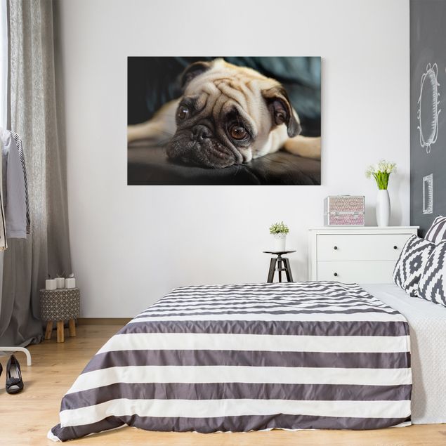 Canvas schilderijen Pensive Pug