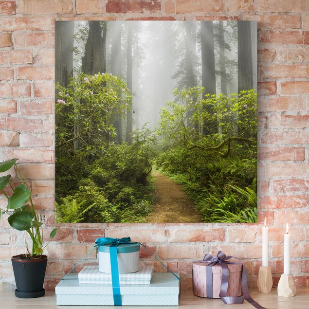Canvas schilderijen Misty Forest Path