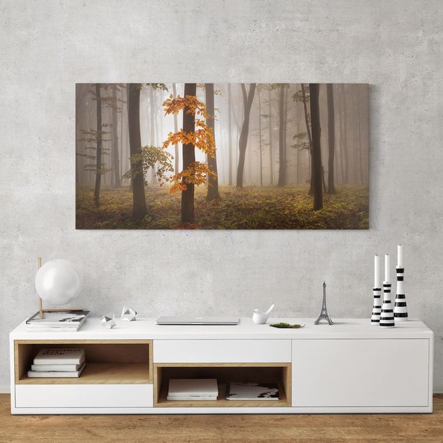 Canvas schilderijen November Forest
