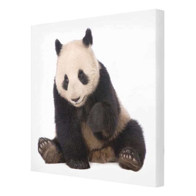 Canvas schilderijen Panda Paws