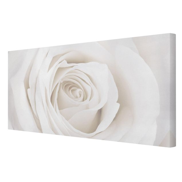 Canvas schilderijen Pretty White Rose