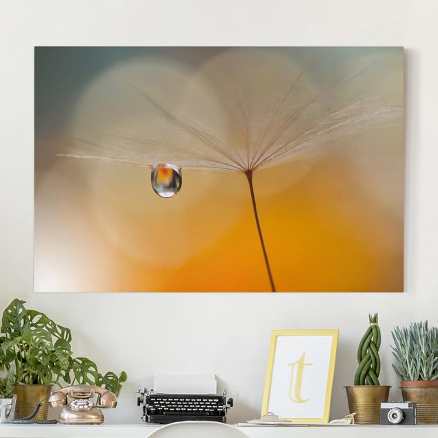 Canvas schilderijen Dandelion In Orange
