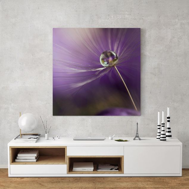 Canvas schilderijen Dandelion In Violet