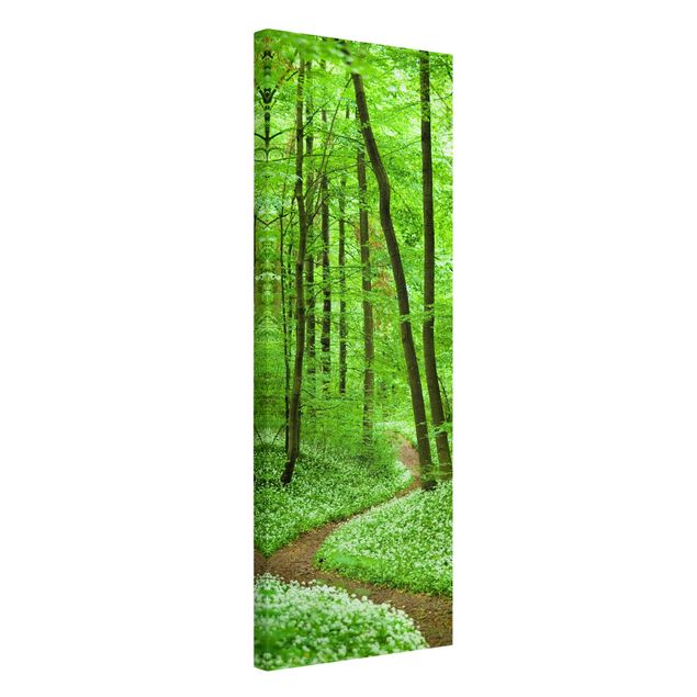 Canvas schilderijen Romantic Forest Track
