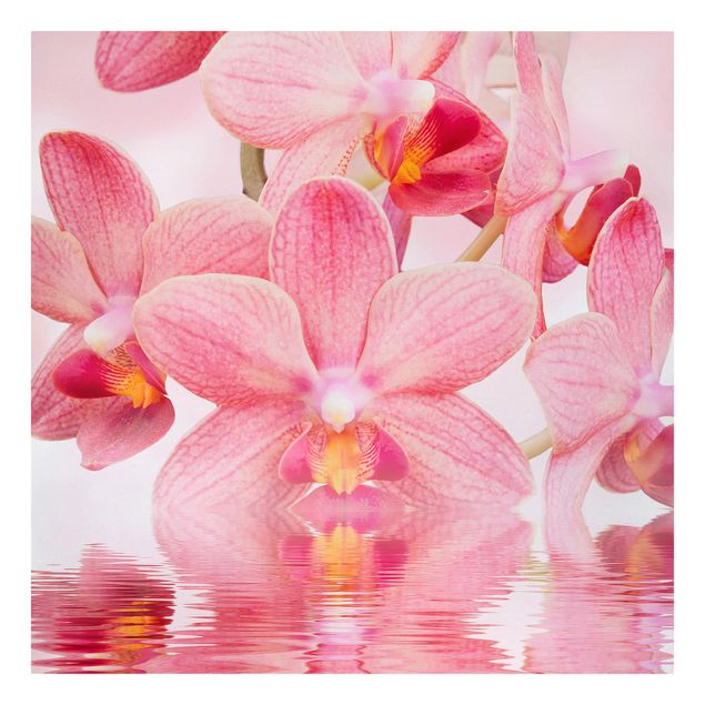 Canvas schilderijen Light Pink Orchid On Water