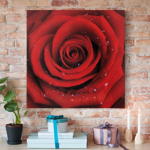 Canvas schilderijen Red Rose With Water Drops