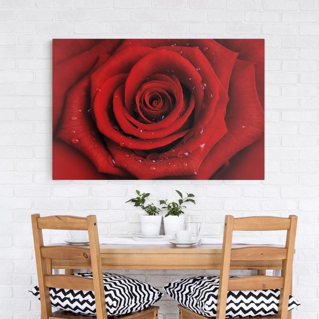 Canvas schilderijen Red Rose With Water Drops