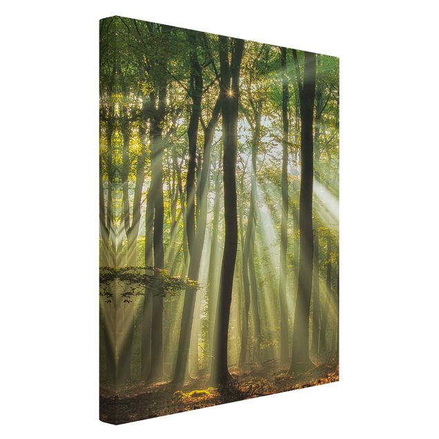 Canvas schilderijen Sunny Day In The Forest