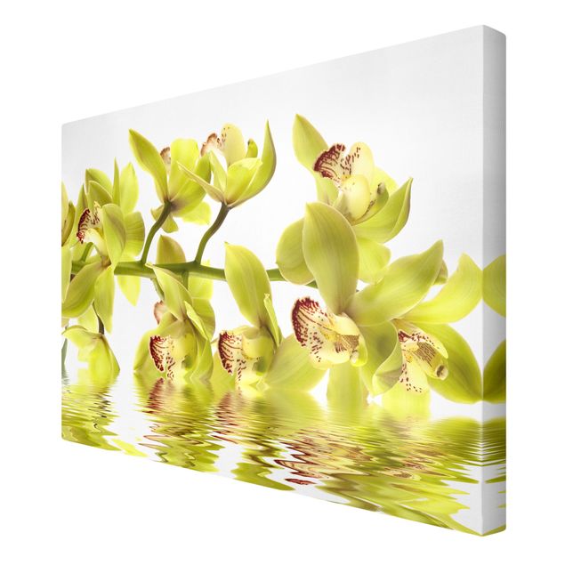 Canvas schilderijen Splendid Orchid Waters