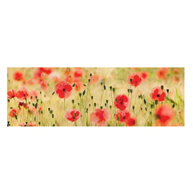 Canvas schilderijen Summer Poppies
