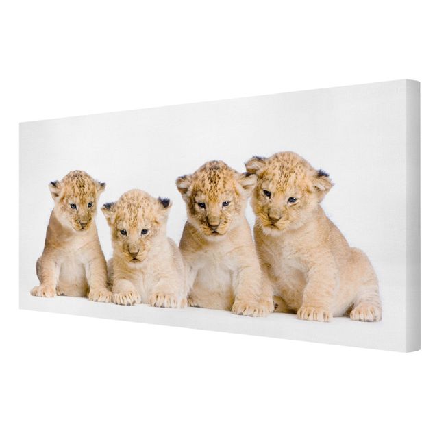 Canvas schilderijen Sweet Lion Babys