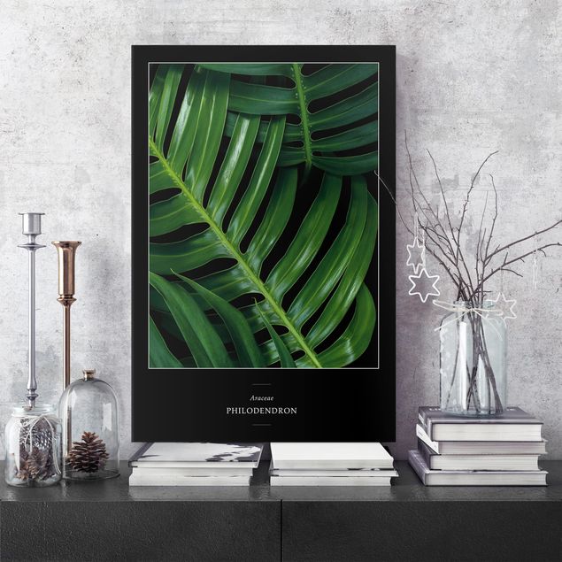 Canvas schilderijen Tropical Leaves Philodendron