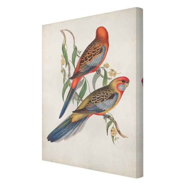 Canvas schilderijen Tropical Parrot II