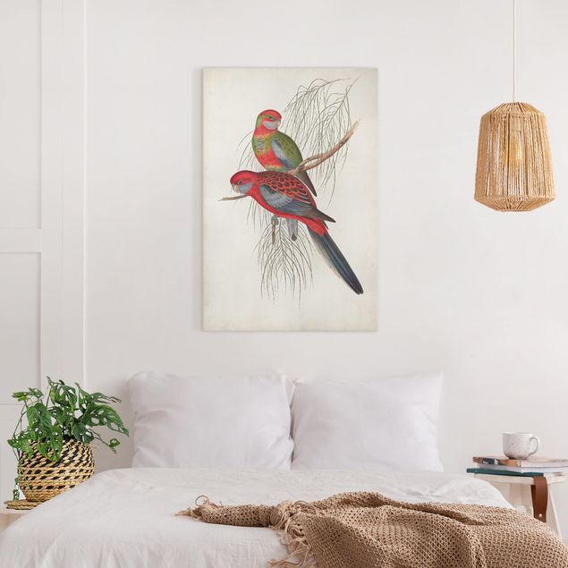 Canvas schilderijen Tropical Parrot III