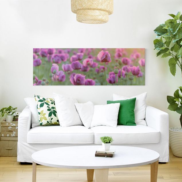 Canvas schilderijen Purple Poppy Flower Meadow In Spring