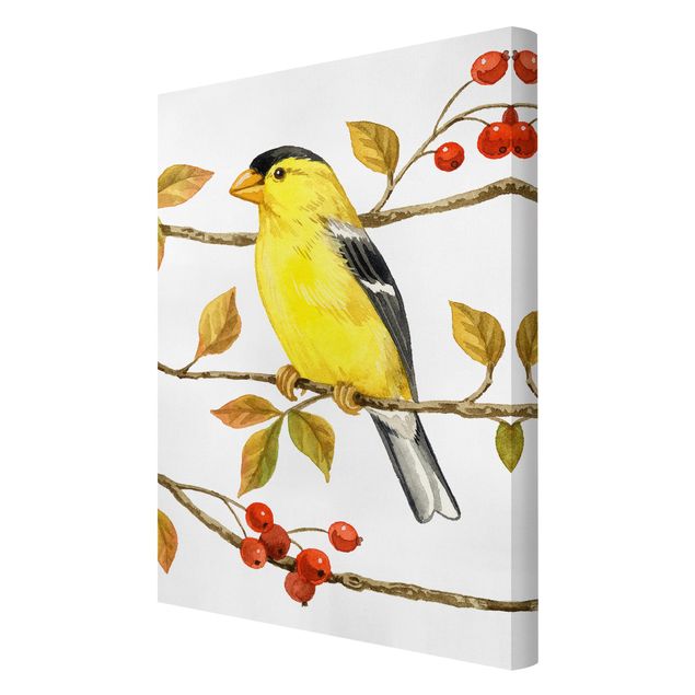 Canvas schilderijen Birds And Berries - American Goldfinch