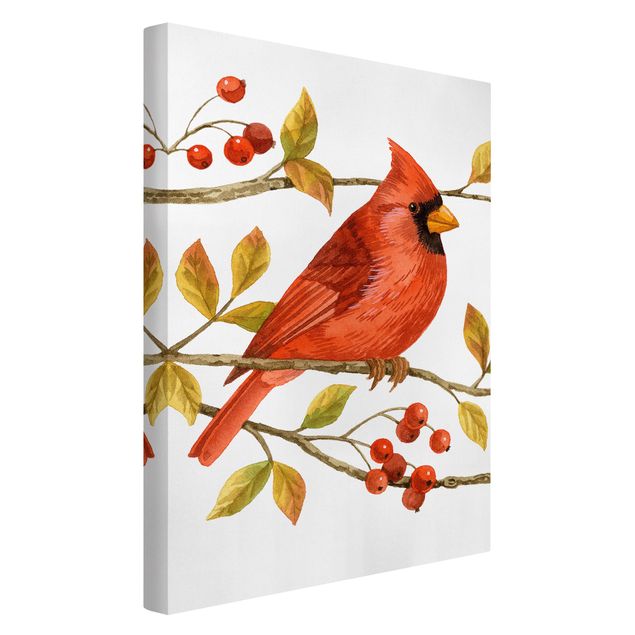 Canvas schilderijen Birds And Berries - Northern Cardinal