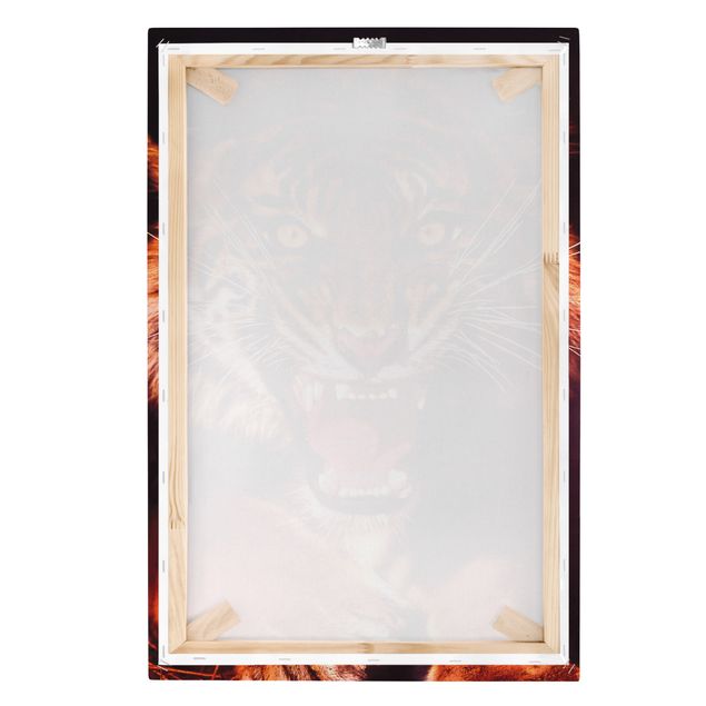 Canvas schilderijen Wild Tiger