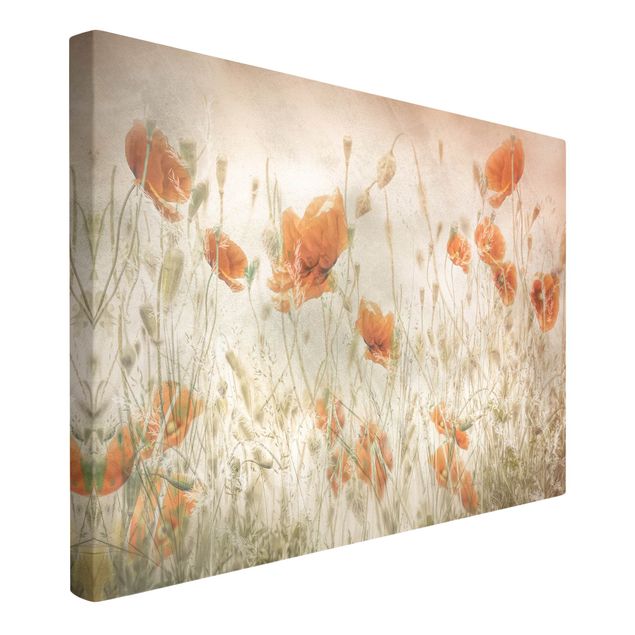 Canvas schilderijen Poppy Flowers And Grasses In A Field