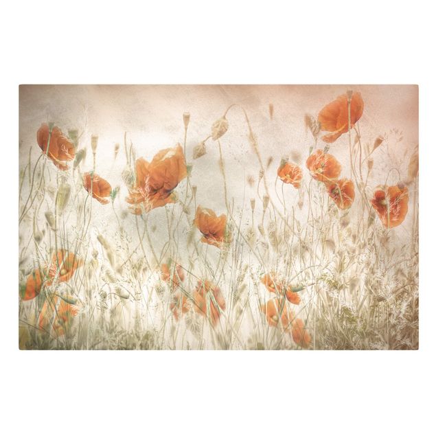 Canvas schilderijen Poppy Flowers And Grasses In A Field