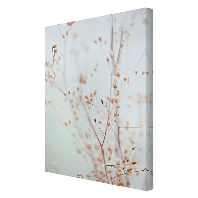 Canvas schilderijen Pastel Buds On Wild Flower Twig